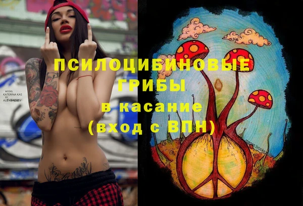 стафф Магас