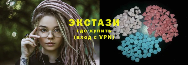 индика Мегион
