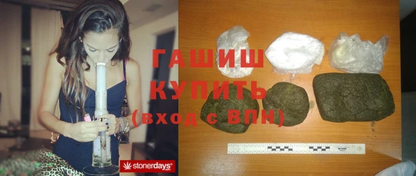индика Мегион