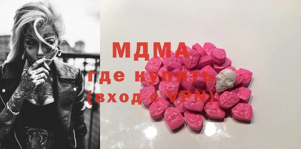 индика Мегион