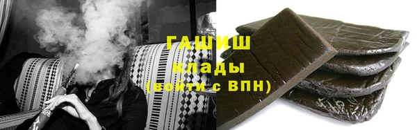 индика Мегион