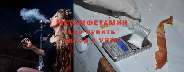 индика Мегион