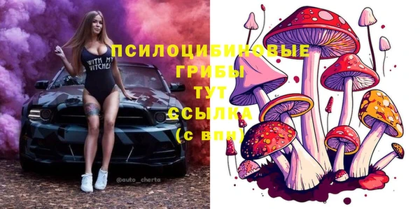 первитин Медвежьегорск