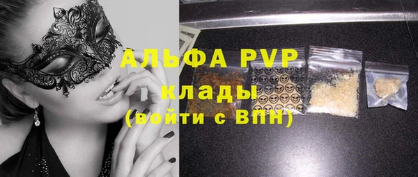 индика Мегион