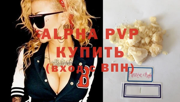 индика Мегион