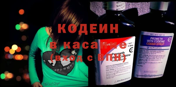 индика Мегион
