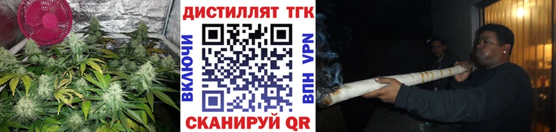 цена Тарко-Сале ТГК THC oil